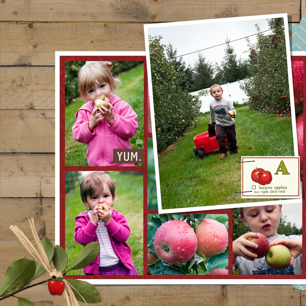 apple picking 2011 01