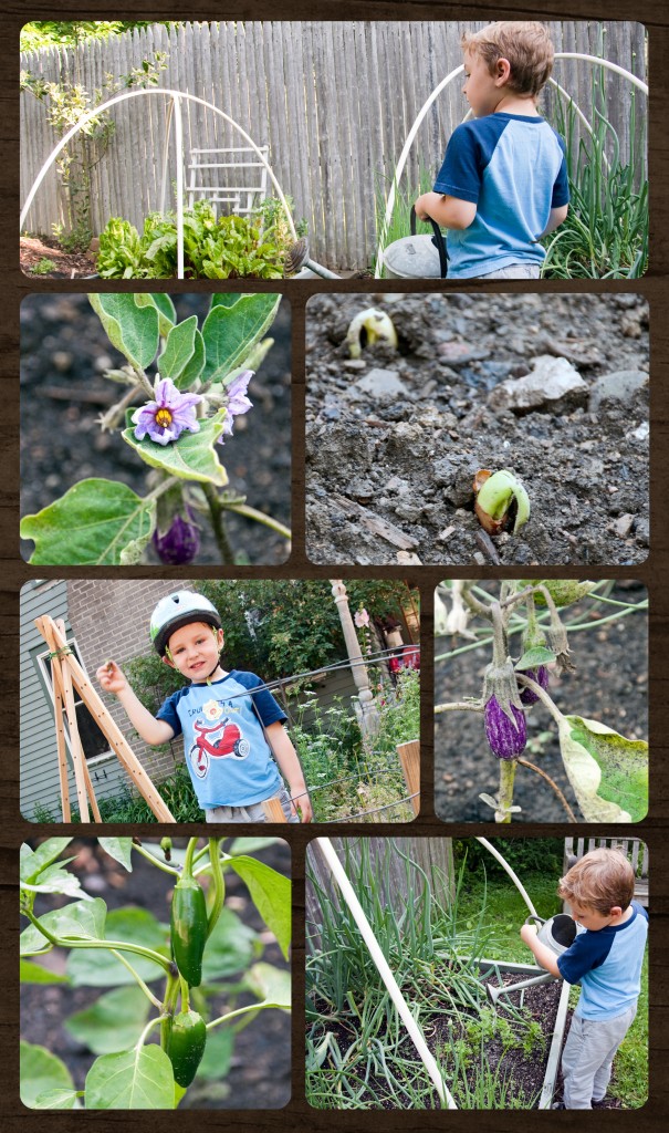 june garden collage 01
