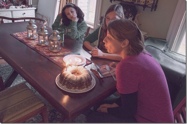 DSC_8271 fall DSC_8271 fall