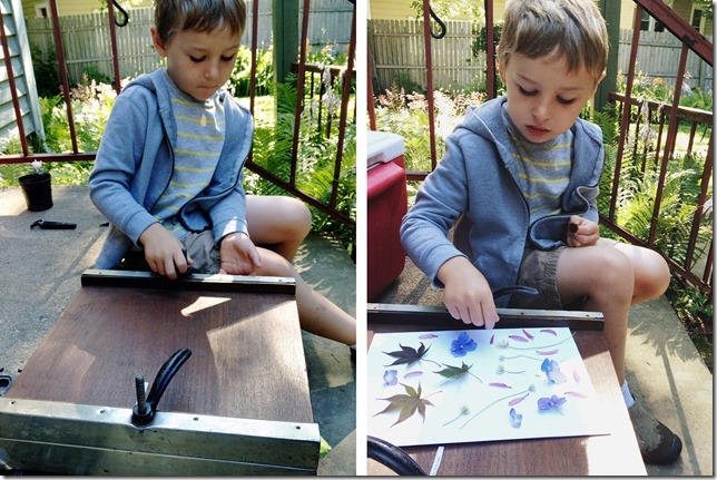 blog flower press 01