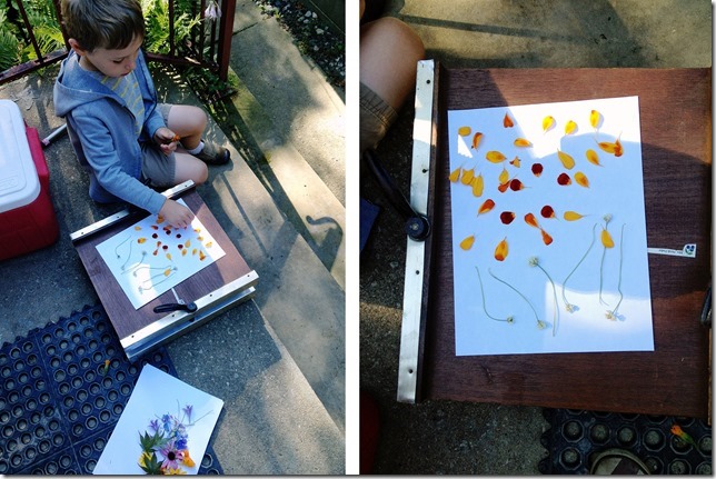 blog flower press 02